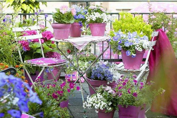 balcony-designs-decorating-with-flowers-plants-9